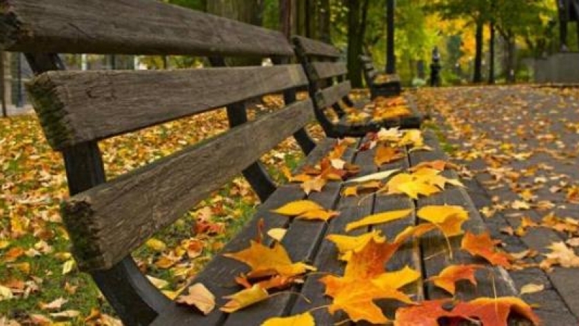 فصل الخريف- صورة تعبيرية