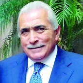عمر مهنا، رئيس مجلس الأعمال المصرى الأمريكى