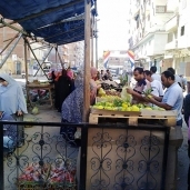 مبادرة "بلدنا بخير" تستكمل أعمالها بحي منتزة أول شرق الإسكندرية