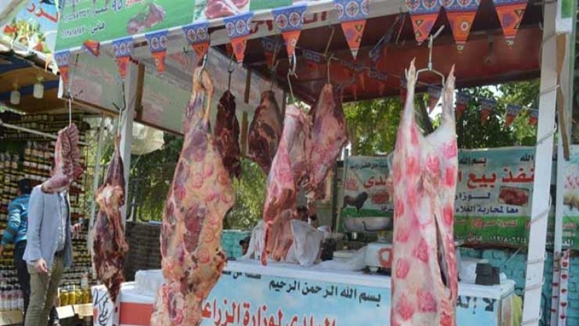 اللحوم البلدي في وزارة الزراعة