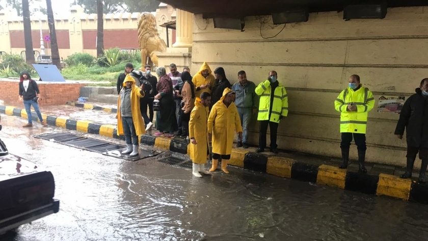 عمال الصرف الصحي في شوارع الإسكندرية