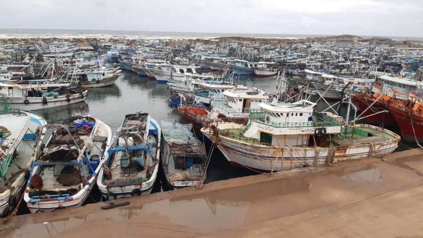 صورة ميناء البرلس في كفر الشيخ