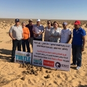 فريق إسكندرية لإنقاذ السلاحف يعيد توطين 42 سلحفاة المصرية في بيئتها الطبيعية