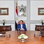 الرئيس السيسى خلال اجتماعه بوزير المالية ورئيس الوزراء