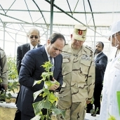الرئيس يتفقد إنتاج إحدى الصوب الزراعية فى قاعدة محمد نجيب العسكرية أمس