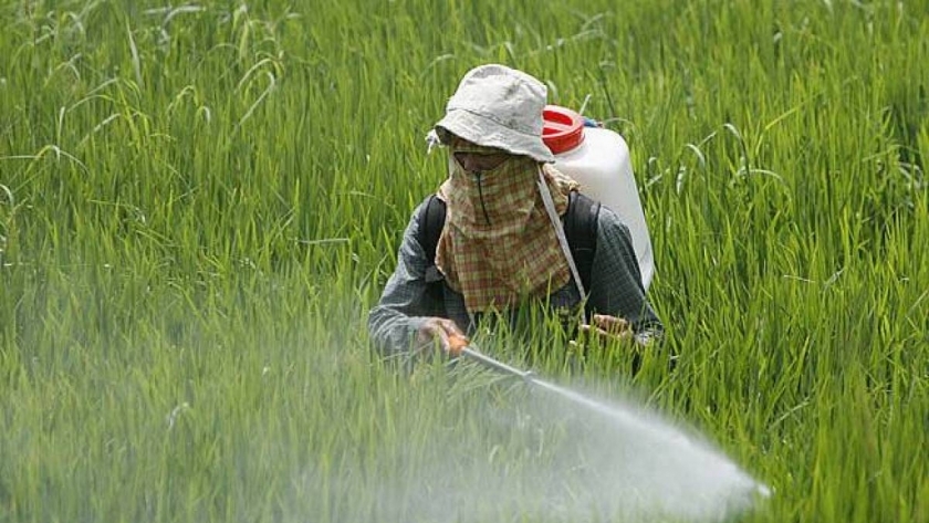 رش المبيدات للزراعات