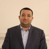تامرعبد القادر،عضو مجلس النواب
