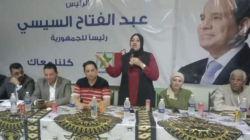 مؤتمرات دعم المرشح عبد الفتاح السيسي بالفيوم