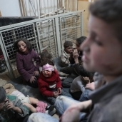 ضحايا صف مدينة في شمال غرب سوريا بـ"الغازات السامة"