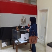 تصويت المصريين بالخارج على استفتاء تعديل الدستور