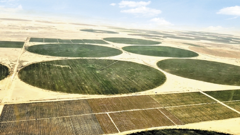 مشروع مستقبل مصر.. طريق تحقيق الاكتفاء الذاتي من المحاصيل الزراعية