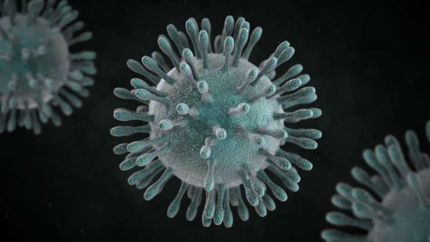 فيروس كورونا .. صورة أرشيفية