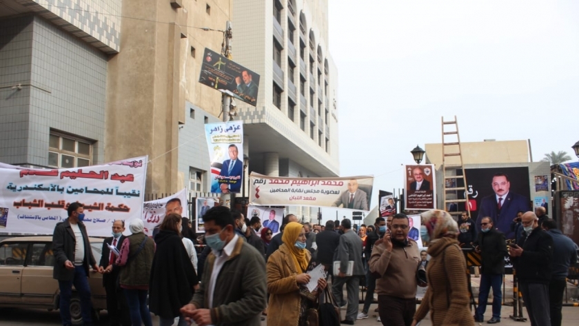 انتخابات نقابة المحامين في الإسكندرية