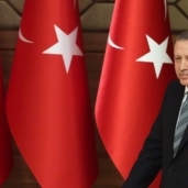 الرئيس التركي رجب طيب أردوغان- صورة أرشيفية