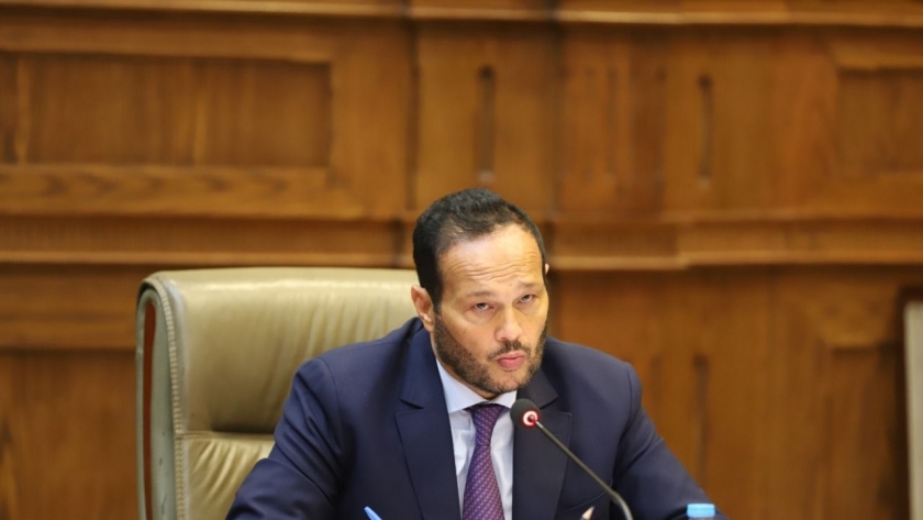 محمد حلاوة، رئيس لجنة الصناعة والتجارة بمجلس الشيوخ