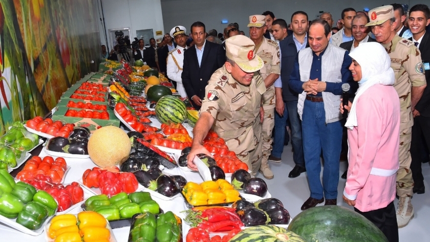 الرئيس عبدالفتاح السيسي خلال افتتاحه للمرحلة الثانيةمن مشروع الصوب الزراعية