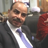 النائب هشام الشعينى، رئيس لجنة الزراعة والرى بمجلس النواب