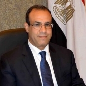 سفير مصر فى برلين-الدكتور بدر عبدالعاطي-صورة أرشيفية
