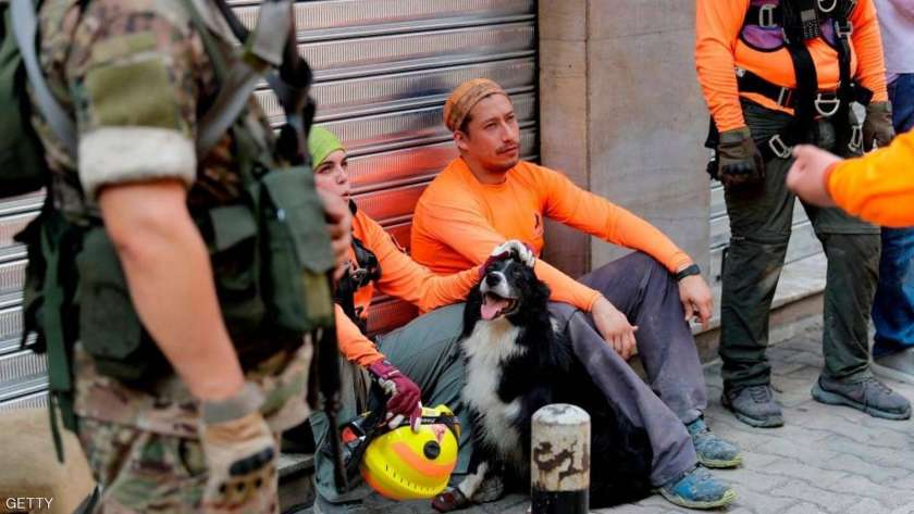 الكلب التشيلي المشارك في إخراج جثث الضحايا