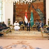 رؤساء الدول فى القمة التشاورية بشأن السودان