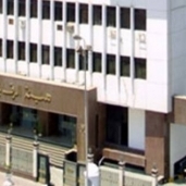 الرقابة الإدارية تحبط ضياع 7.7 مليون من الخزانة العامة بجمارك الإسكندرية