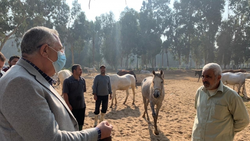 وزير الزراعة خلال تفقده لمزرعة الزهراء للخيول تمهيدا للبدء فى تطويرها