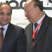 السفير محمود كارم مع الرئيس عبدالفتاح السيسي - أرشيفية