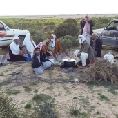 رحلة خلوية بمطروح فى الصحراء وسط المساحات الخضراء وطهى الطعام على الحطب