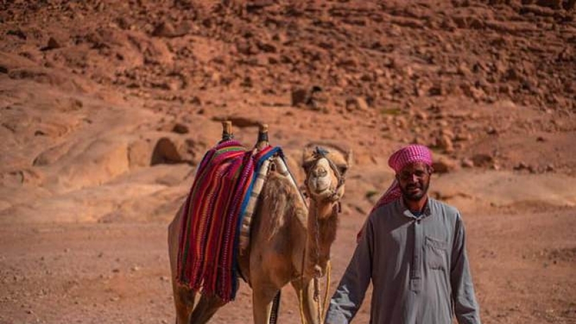بدو جنوب سيناء - صورة أرشيفية