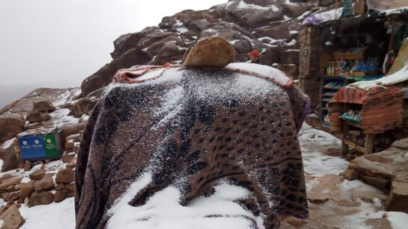 أرشيفية ثلوج خفيفة فوق جبل موسي