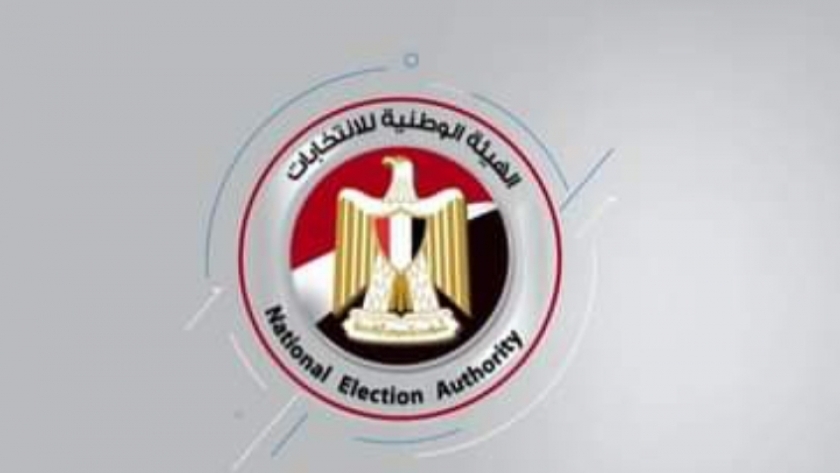 الهيئة الوطنية للإنتخابات