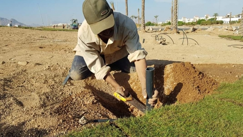 عامل أثناء زراعة أراضي بشرم الشيخ