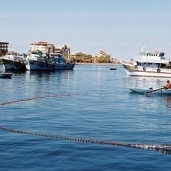 مراكب الصيد بكفر الشيخ - أرشيفية