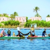 صيادو بحيرة البرلس يبحثون عن تشريعات تضمن حقوقهم