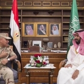 وزير الدفاع يلتقي وزير الدفاع السعودى خلال زيارته للمملكة العربية السعودية