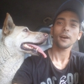 «أحمد» تخصص فى إنقاذ الكلاب الضالة