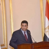 سفير مصر بصربيا