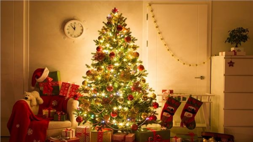 شجرة الكريسماس التى يتم الاحتفال بها بكافة المنشآت السياحية خلال رأس السنة
