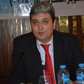 علاء شلبي، رئيس للمنظمة العربية لحقوق الإنسان
