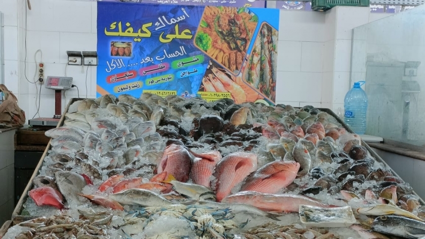 أسعار الأسماك اليوم فى سوق العبور ..تبدأ من 10 جنيه للكيلو