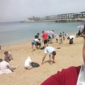 فريق إسكندرية لإنقاذ السلاحف ينظف شاطئ "جليم"المجاني