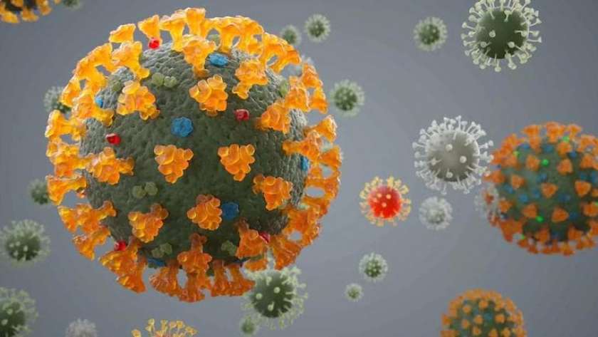 محافظ الفيوم يُعلن تراجع ملحوظ في أعداد الإصابة بفيروس كورونا