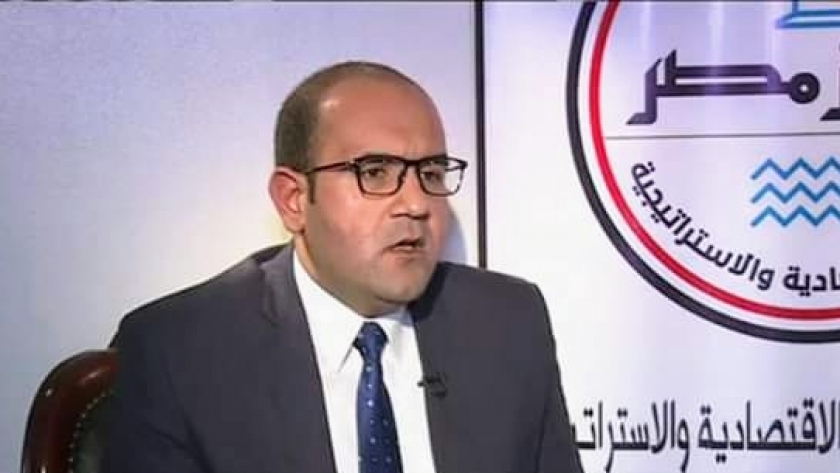 الدكتور مصطفى أبوزيد، مدير مركز مصر للدراسات الاقتصادية والاستراتيجية