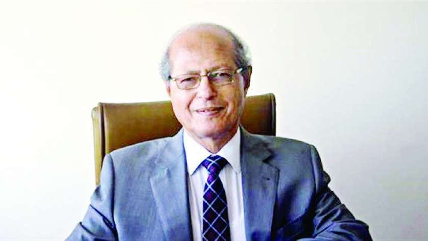 السفير رخا أحمد حسن