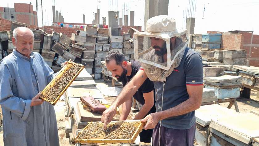 مجدي وأولاده في منحل عسل على السطح