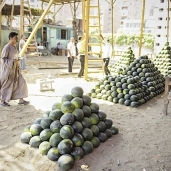 الزراعة تنفي احتواء البطيخ على مواد سامة