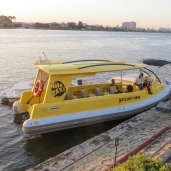 تاكسي النيل