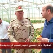 عمرو أديب مع رئيس الشركة الوطنية للزراعات المحمية