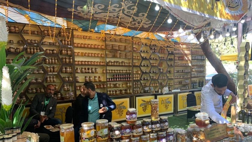 إقبال جماهيري على مهرجان العسل المصري وسط إجراءات احترازية