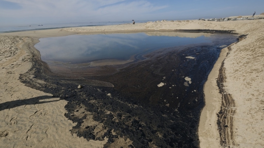 التسرب النفطي بسواحل كاليفورنيا